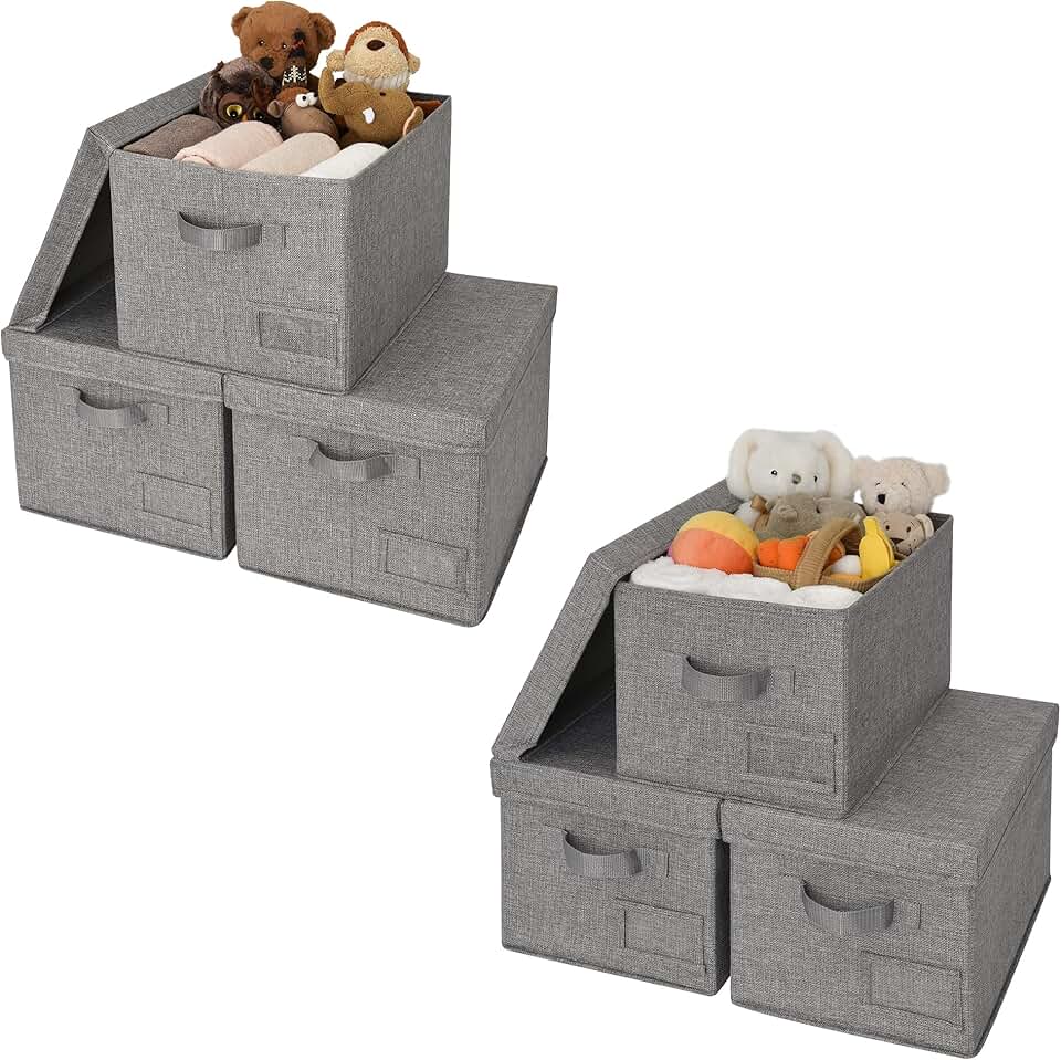 Set of 6 Lidded and Rectangle Closet Storage Bins