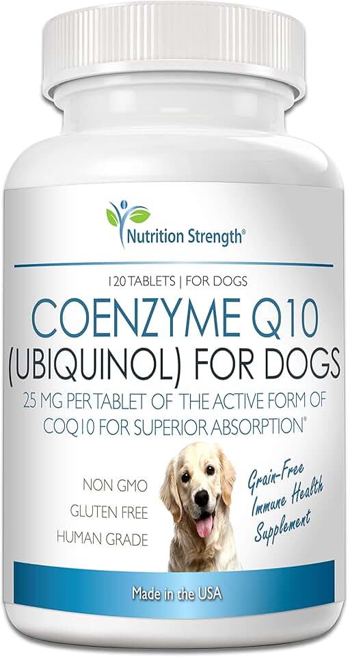 Coenzyme Q10 for Dogs, Grain-Free, 120 Chewables