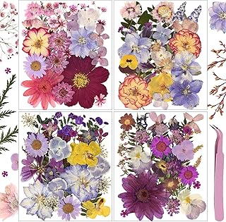 113Pcs Dried Pressed Flowers for Crafts and Resin