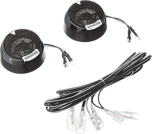 Add-on Tweeter for Audio System