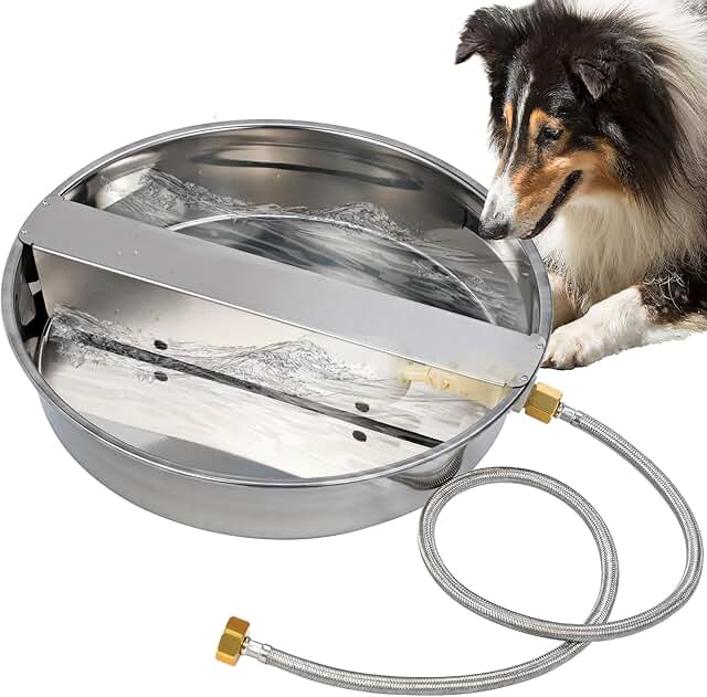 Automatic Water Dispenser for Large Dogs and Pets