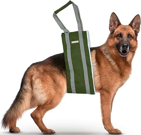 Large dog rear lifting sling