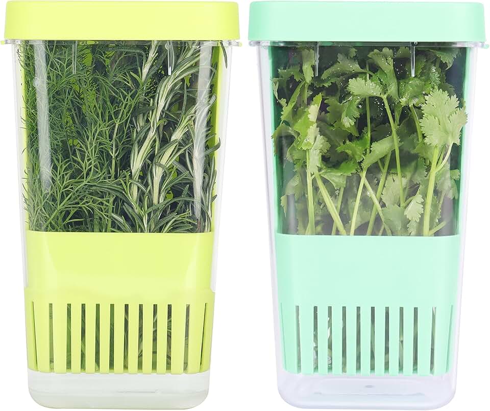 Two Herb Storage Containers for Refrigerator