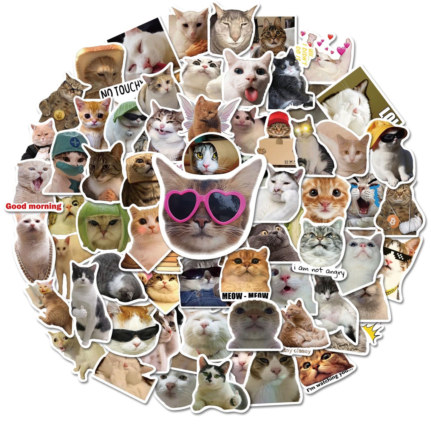 100 Cute Cat Stickers for Water Bottles and More