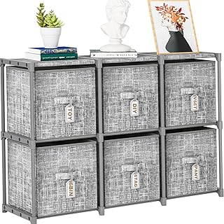Cube Storage Shelf with 6 Bins and Labels