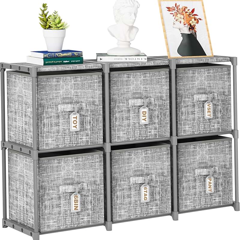 Cube Storage Shelf with 6 Bins and Labels