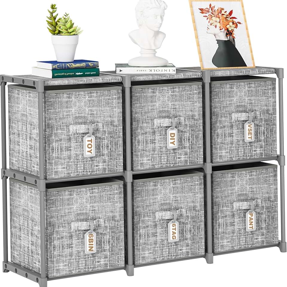 Cube Storage Shelf with 6 Bins and Labels