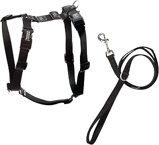 No-Pull Dog Harness and Leash Set, Medium