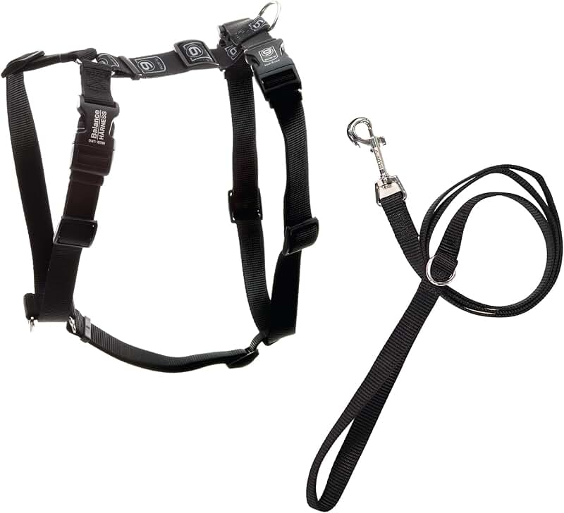 No-Pull Dog Harness and Leash Set, Medium