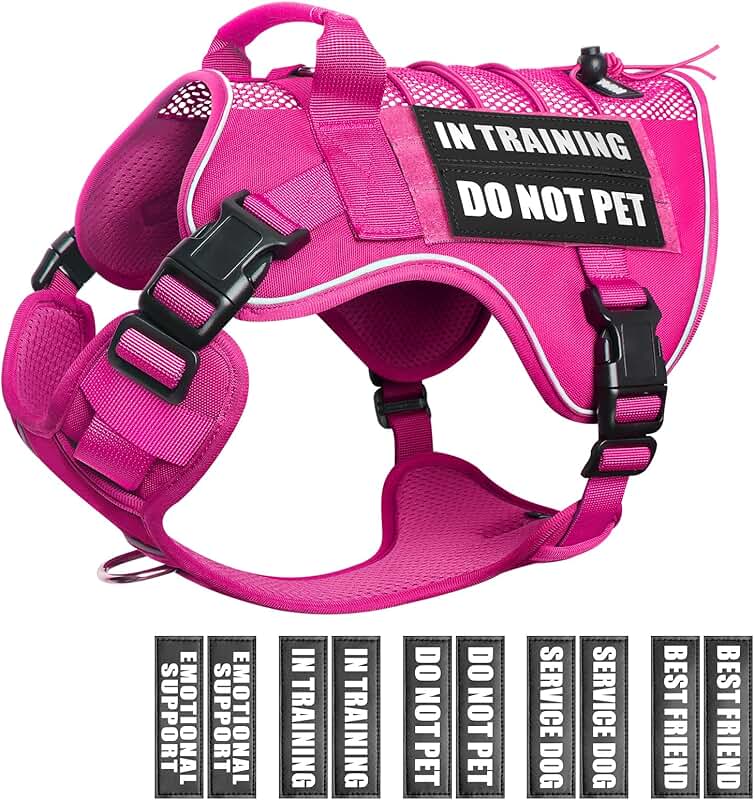 Service Dog Training Mesh Harness with Patches for Large Dogs