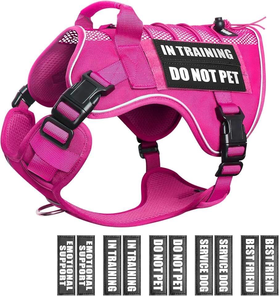 Service Dog Training Mesh Harness with Patches for Large Dogs