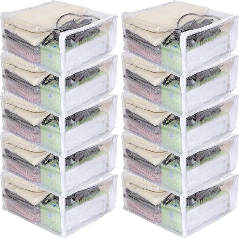 Set of 10 clear vinyl storage bags, 9x11x5 inches