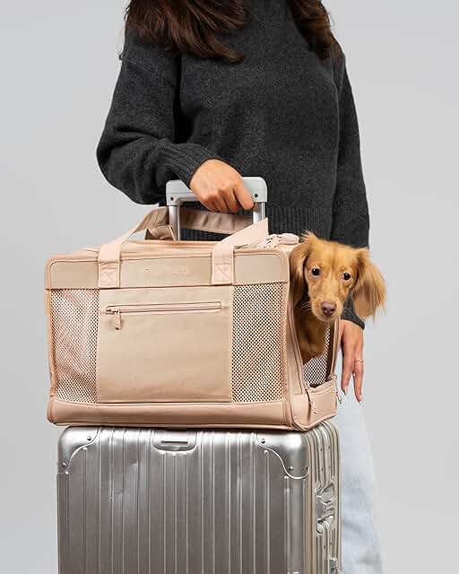 Travel Pet Carrier for Small Dogs and Cats