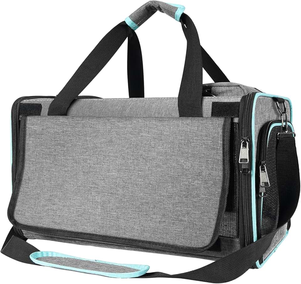 Soft-Sided Cat and Small Pet Travel Carrier