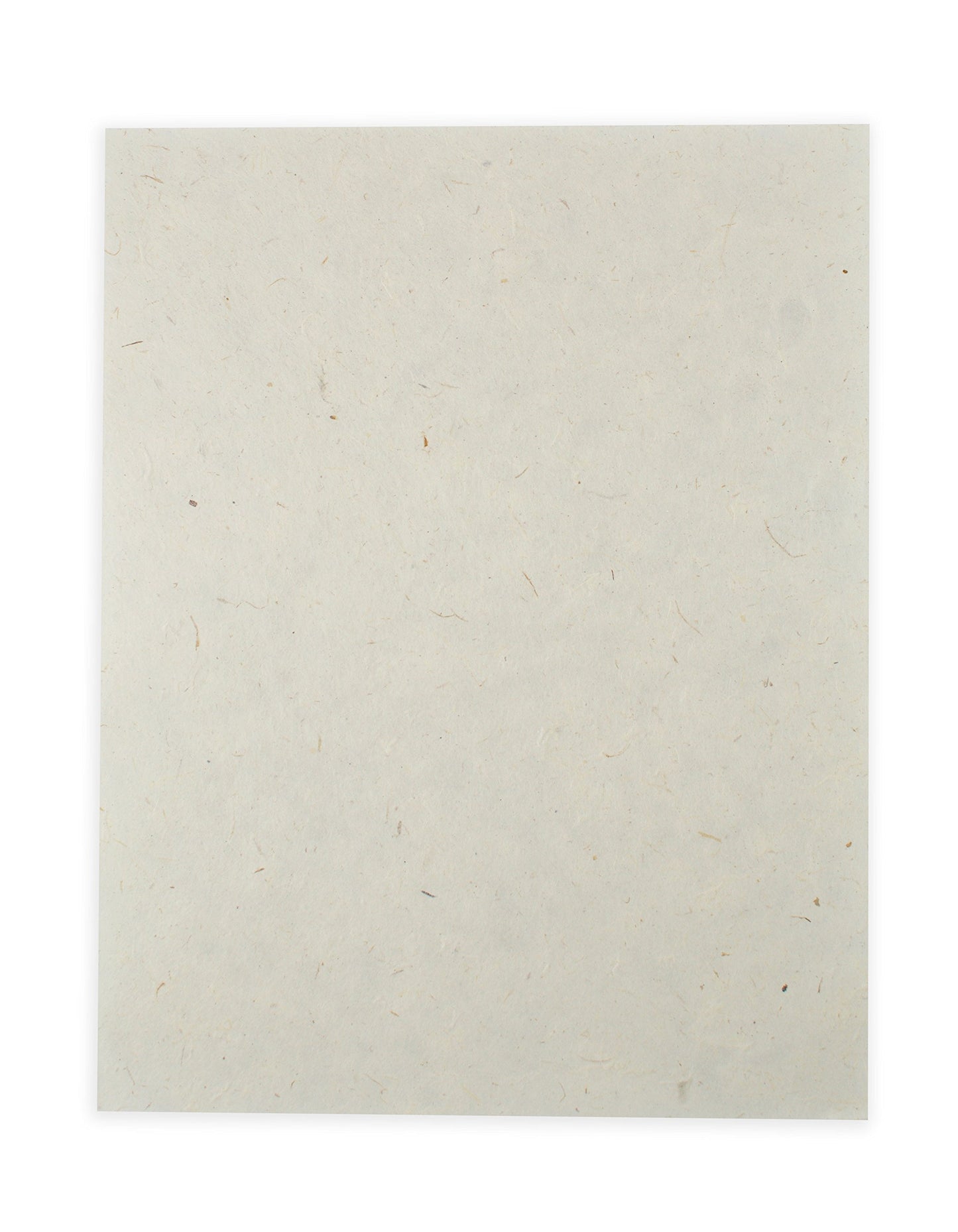 Vintage 8.5x11" Printer Paper, 100 Sheets