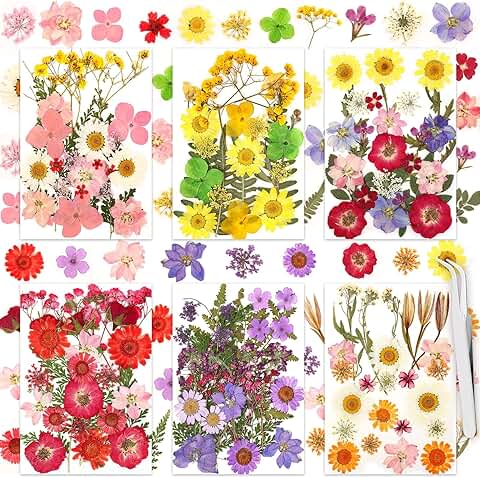 160 Pcs Dried Flowers for Crafts and Gifts