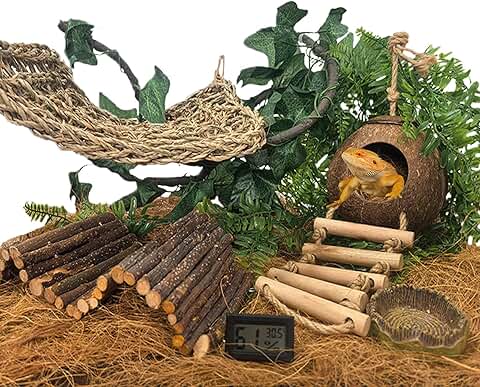Bearded Dragon and Reptile Tank Accessories Set