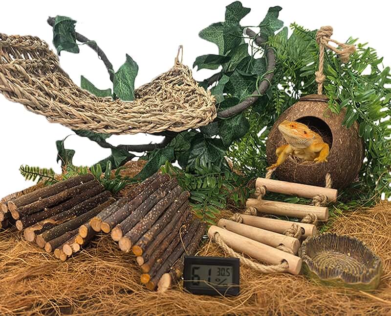 Bearded Dragon and Reptile Tank Accessories Set