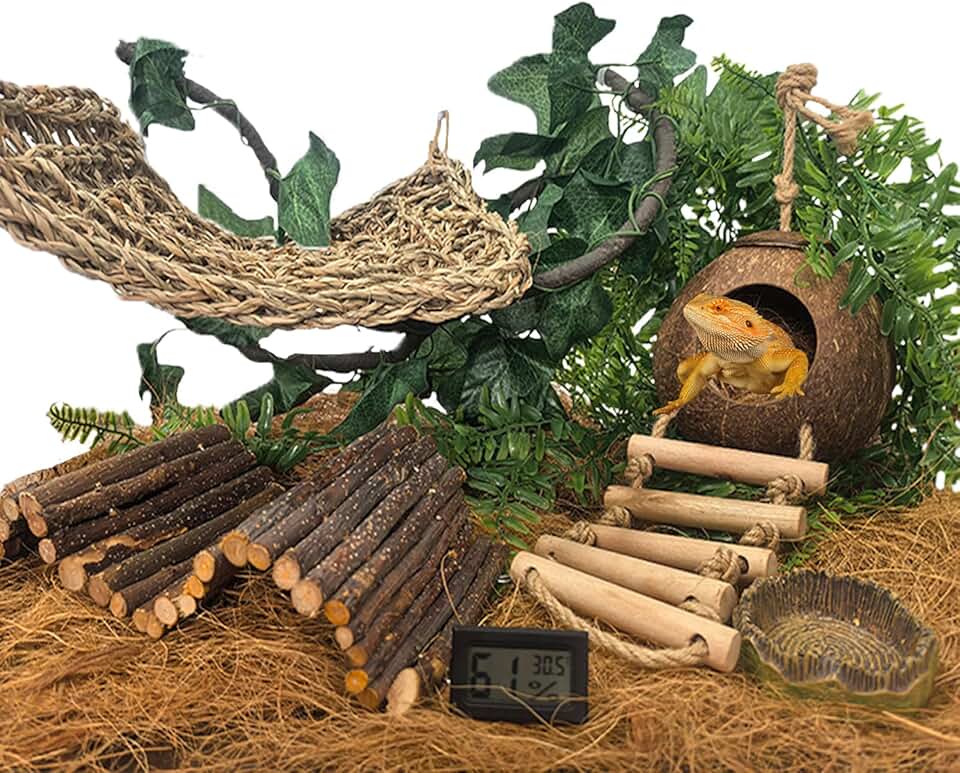 Bearded Dragon and Reptile Tank Accessories Set
