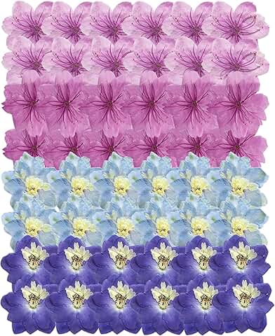 48 Dried Pressed Flowers for Resin Crafts and Decor