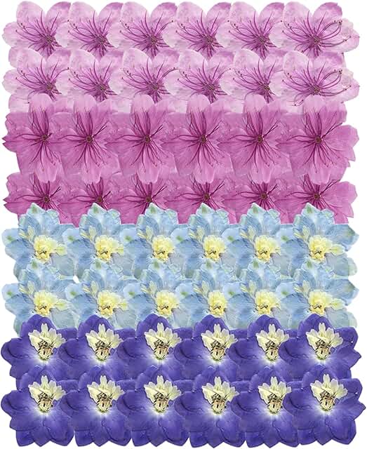 48 Dried Pressed Flowers for Resin Crafts and Decor
