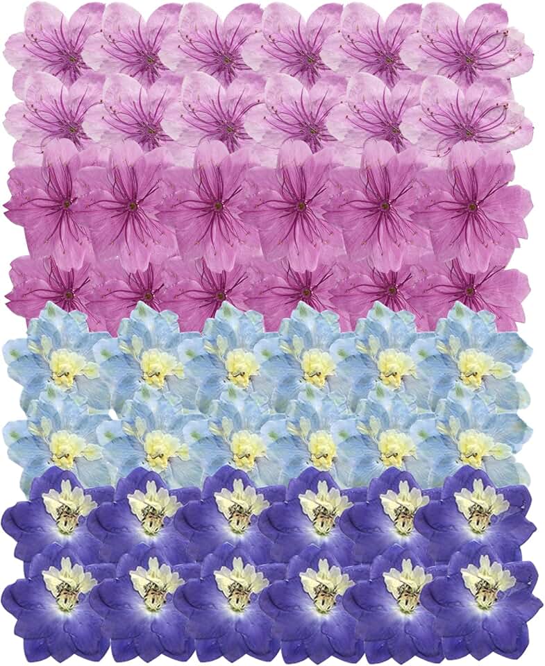 48 Dried Pressed Flowers for Resin Crafts and Decor