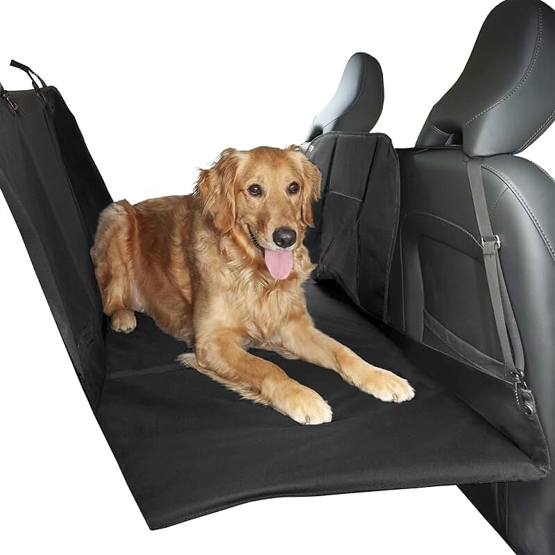Multi-Panel Backseat Protector with Travel Bag