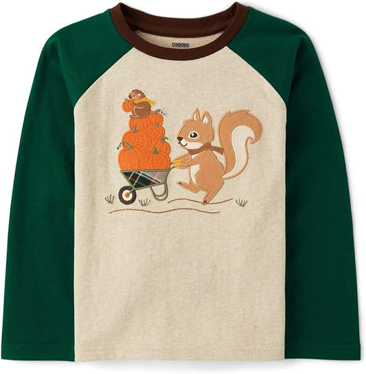 Baby Boys' and Toddler Long Sleeve Raglan T-Shirts