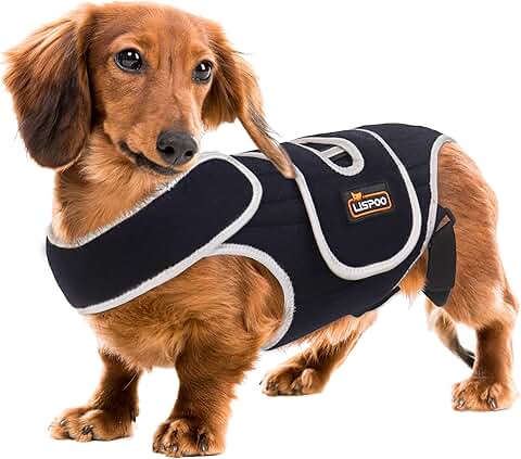 Dog Back Brace for IVDD and Slipped Discs