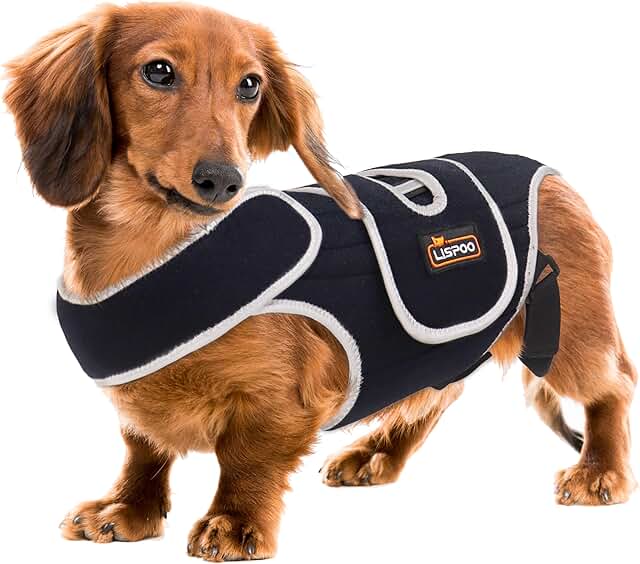 Dog Back Brace for IVDD and Slipped Discs