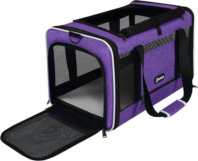 Cat and small animal travel bag for cabin use