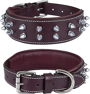 Leather Spike Dog Collar for Medium to XL Breeds