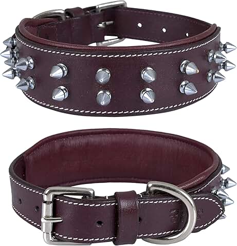Leather Spike Dog Collar for Medium to XL Breeds