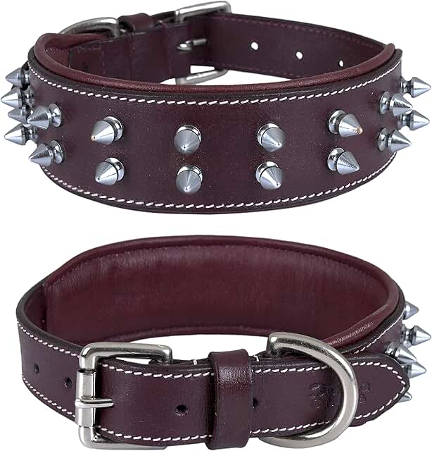 Leather Spike Dog Collar for Medium to XL Breeds