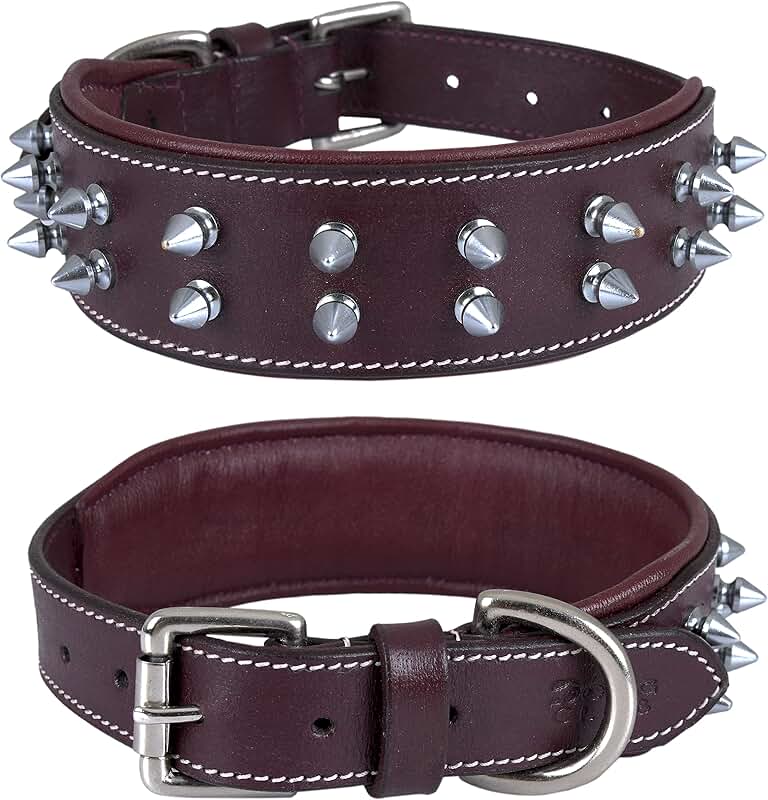 Leather Spike Dog Collar for Medium to XL Breeds