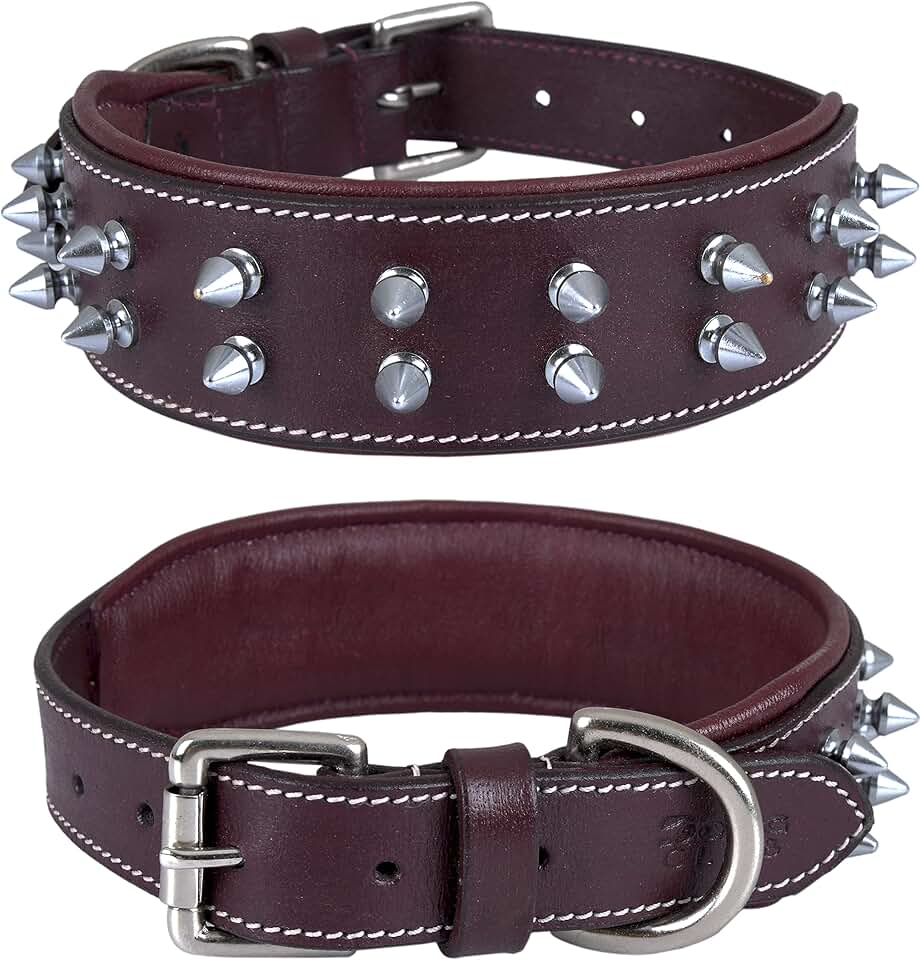 Leather Spike Dog Collar for Medium to XL Breeds