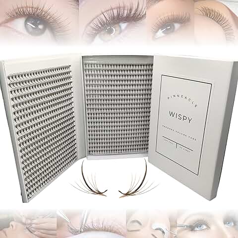 Black and brown premade eyelash fans, mixed sizes