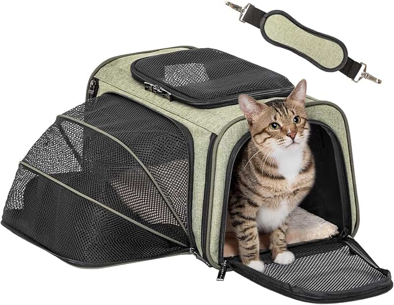 Expandable Soft Small Animal Travel Carrier
