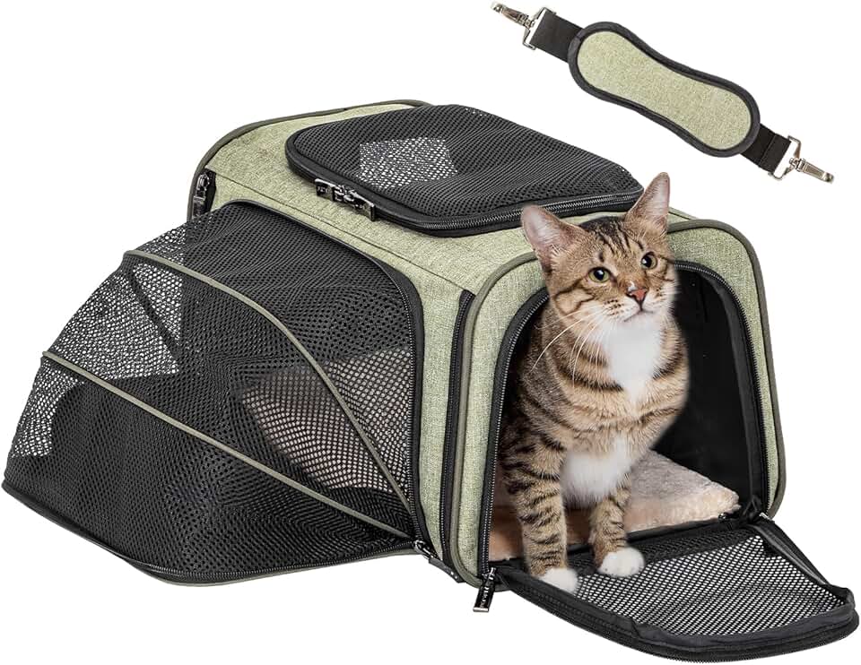 Expandable Soft Small Animal Travel Carrier