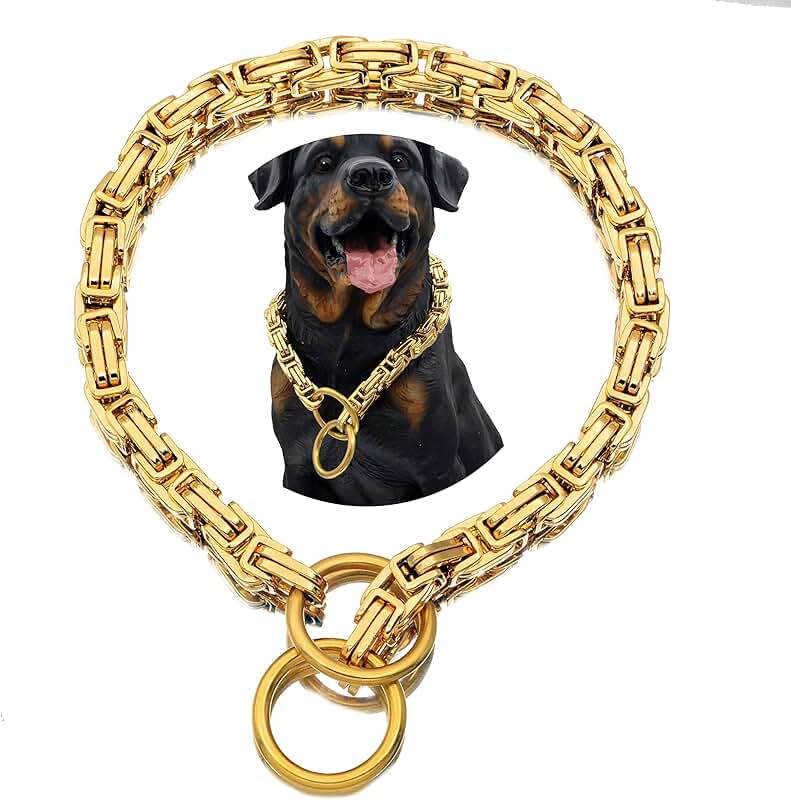 Heavy Duty Stainless Steel Dog Collar, 14-30 Inches