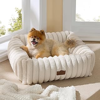 Cute Dog Bed for Small and Medium Dogs