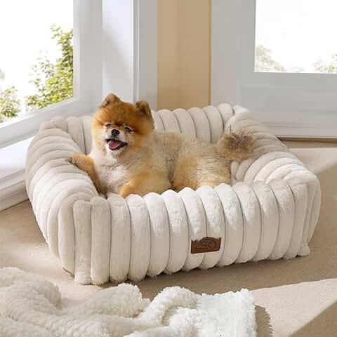 Cute Dog Bed for Small and Medium Dogs