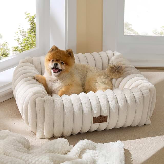Cute Dog Bed for Small and Medium Dogs