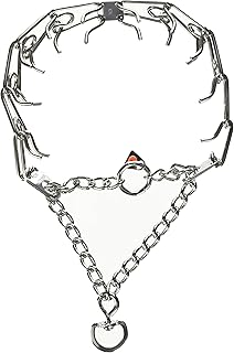Large 23-inch Stainless Steel Prong Training Collar
