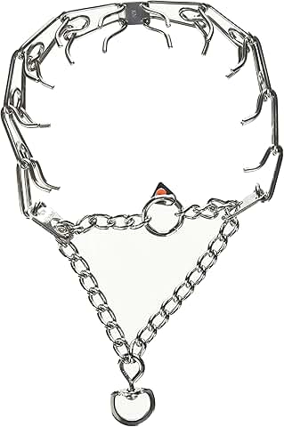 Large 23-inch Stainless Steel Prong Training Collar