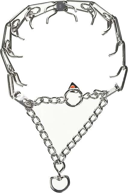 Large 23-inch Stainless Steel Prong Training Collar