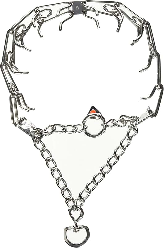 Large 23-inch Stainless Steel Prong Training Collar