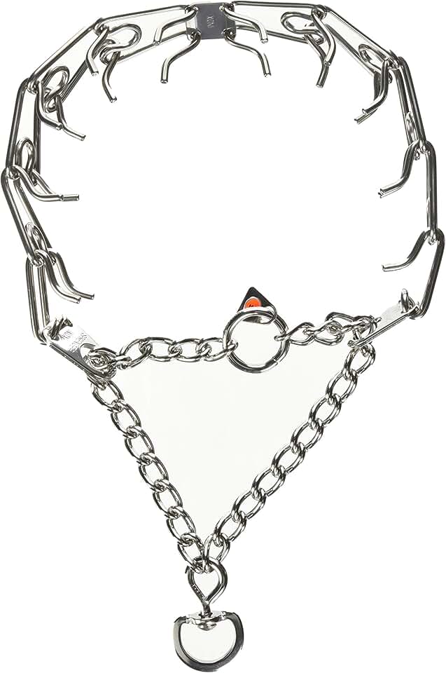 Large 23-inch Stainless Steel Prong Training Collar