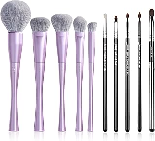 Face and Lip Makeup Brush Set