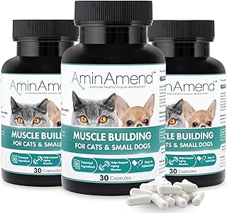 Muscle Support for Small Dogs & Cats, 30 Capsules